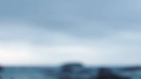 close up of hand holding seashell on cloudy seaside beach