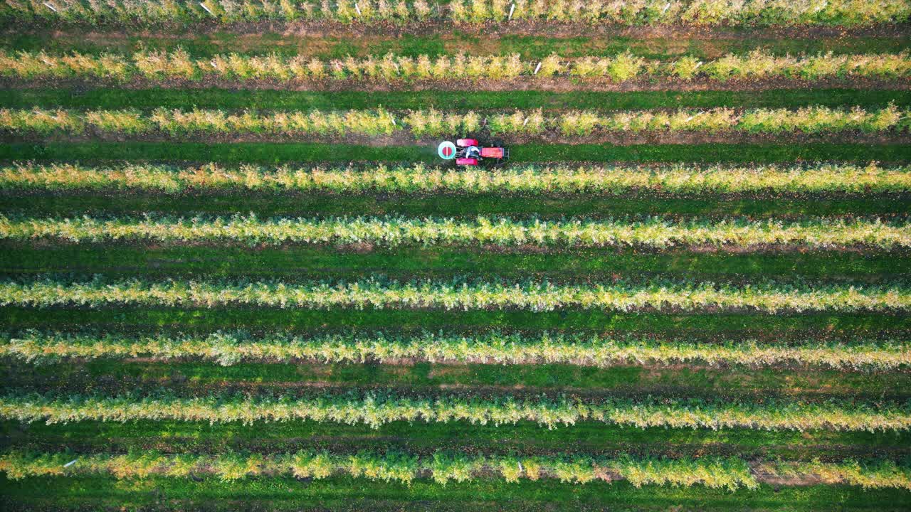 pulverizador de cultivos tractor pulverización de pesticidas o herbicidas campo