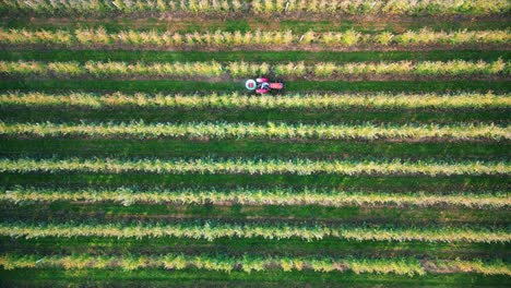 Crop-sprayer-traktor-spraying-pesticide-or-herbicides-field