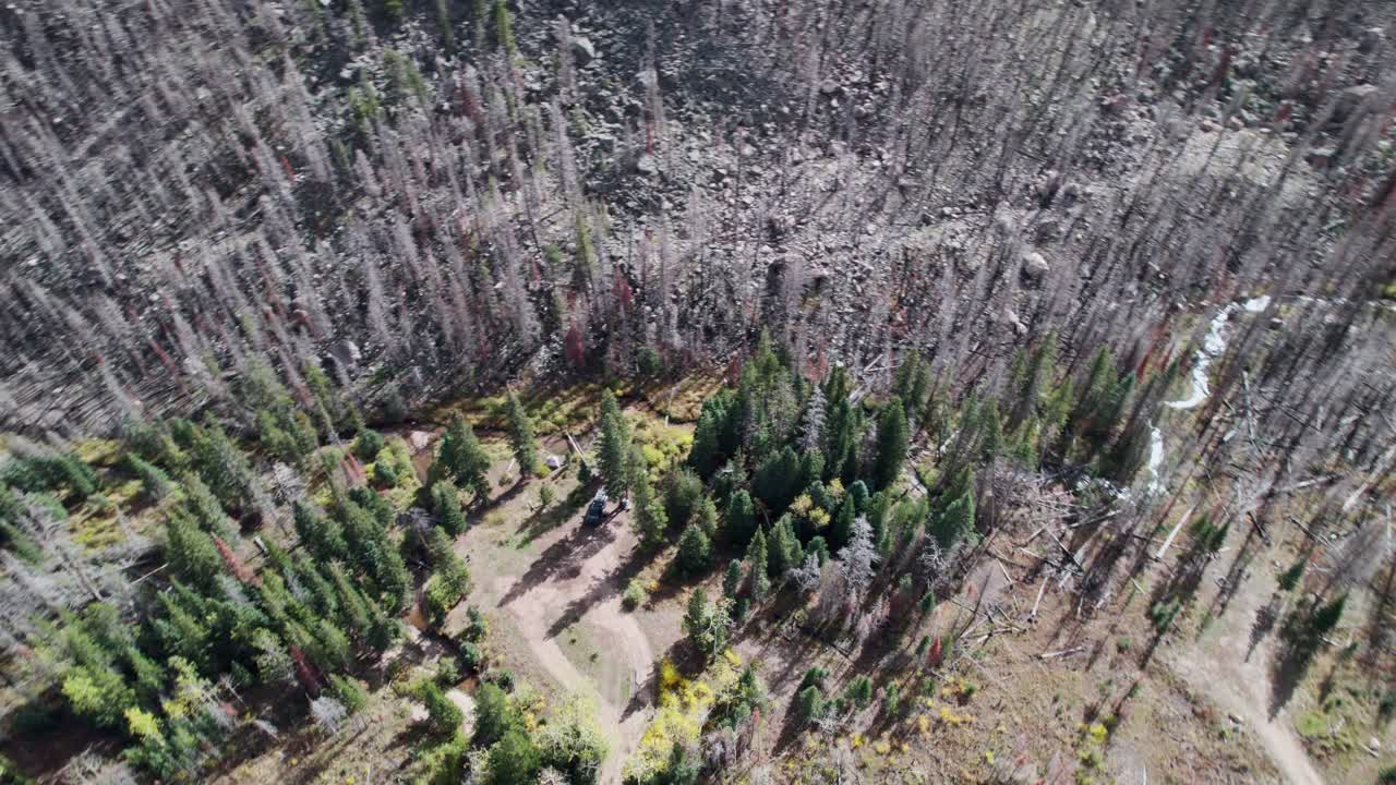 vuelo aéreo alrededor de un área no quemada en medio de un área quemada por un gran incendio forestal