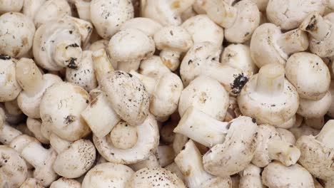 pile of fresh white button mushrooms