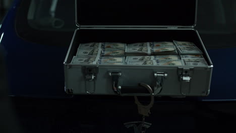 large sum of money in a briefcase