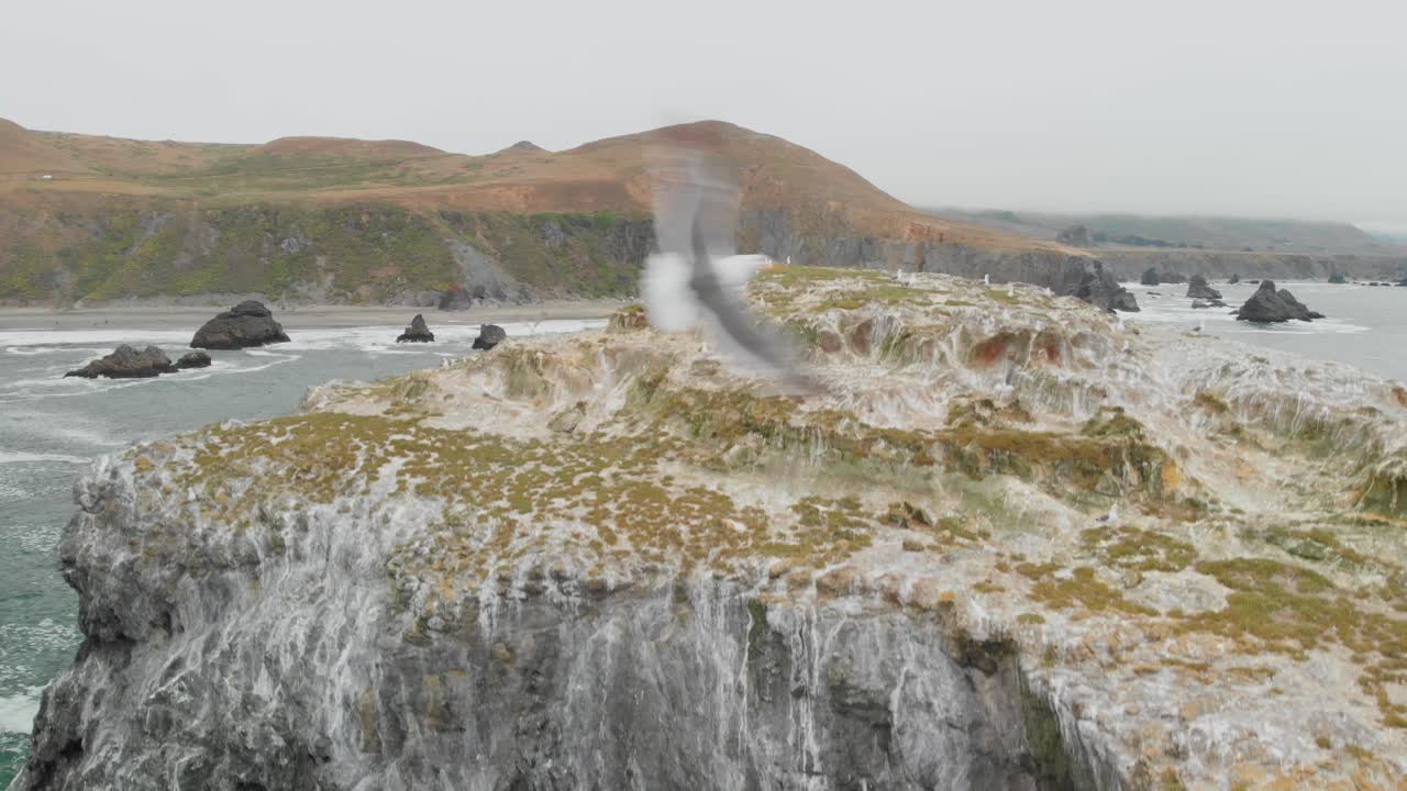 чайка на большой скале в тихом океане на побережье сономы