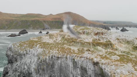 rising aerial shot seagulls on a large rock formation in the pacific ocean along the sonoma coast