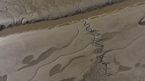 río lodazales a vista de pájaro antiguo muelle patrón aéreo de arriba el lavado norfolk naturaleza agua medio ambiente