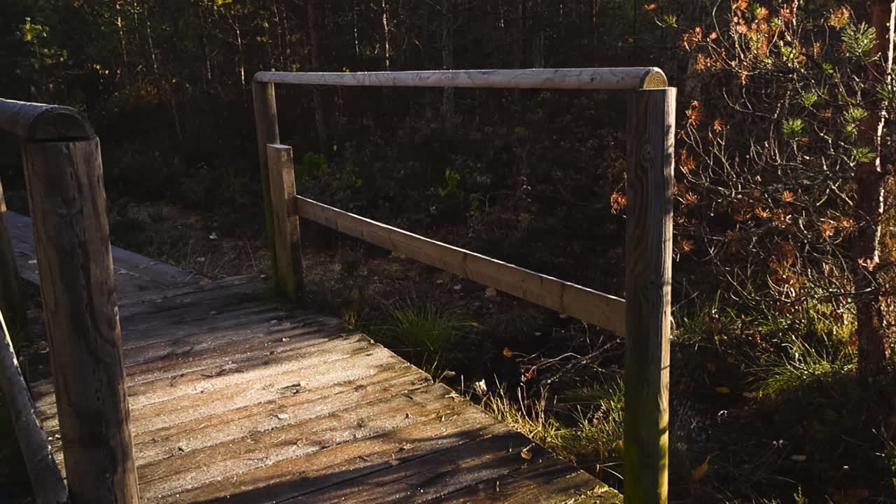 Morning ice and frozen dew hoar frost covering a small wooden boardwalk crossover or bridge with handrails in a marshland bog or wetland during a sunny autumn morning, with golden yellow plants around