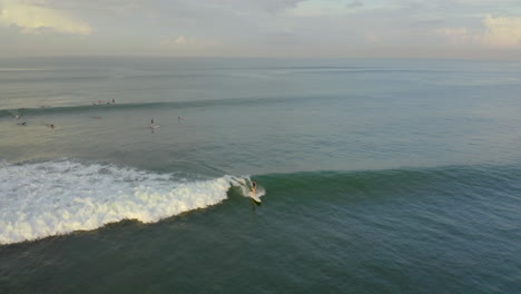 vista aérea del atleta montando una tabla de surf en una ola en un lugar tropical