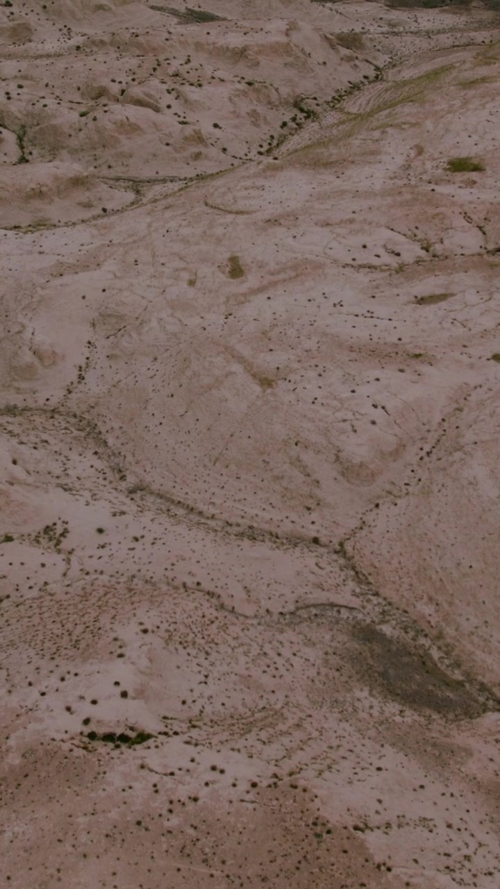 Riprese drone di un paesaggio arido della Valle della Luna con colline di argilla erose, arbusti sparsi e gole serpeggianti nei Monti Altai, Russia, paesaggio desertico naturale.