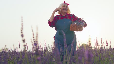 Senior-old-grandmother-farmer-gathering-lavender-flowers-on-field,-dancing,-celebrating-success-win