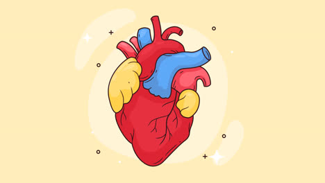 an animation of a hand drawn heart drawing illustration