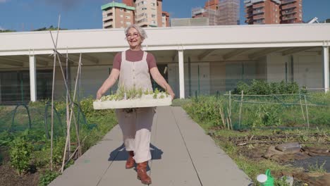 mujer anciana jardinería