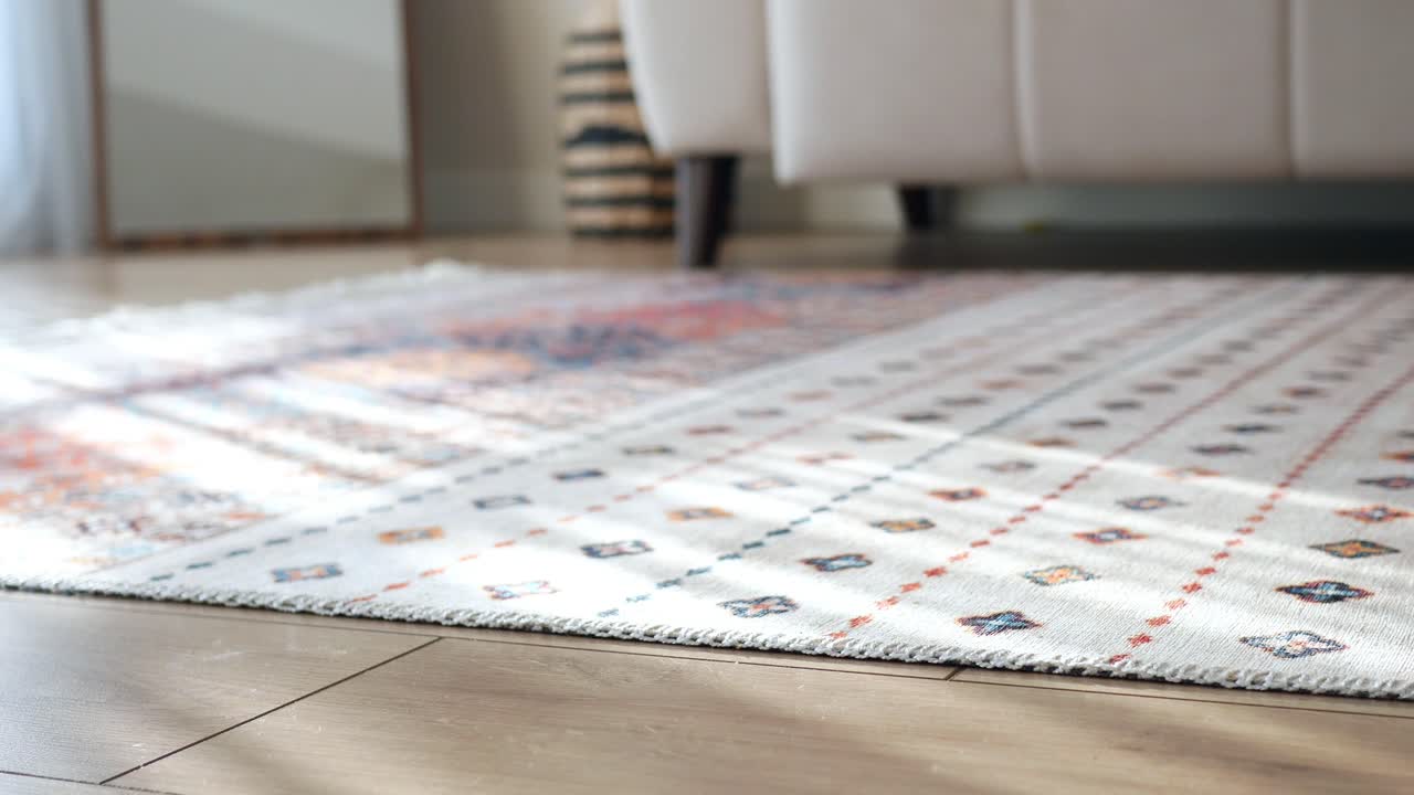 Stylish Boho Rug in a Modern Living Room