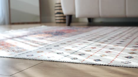 Stylish Boho Rug in a Modern Living Room