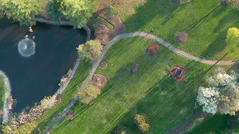 aerial top down of beautiful park in nature