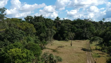 Luftaufstieg-über-Den-Amazonas-Dschungel-An-Einem-Sonnigen-Tag-Mit-Weißen-Wolken