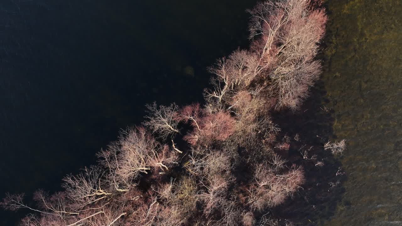 Top down view of an island submerged in Lake Karujärv due to high water levels in Saaremaa, Estonia.