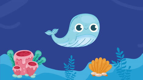 cute whale swiming sealife animation