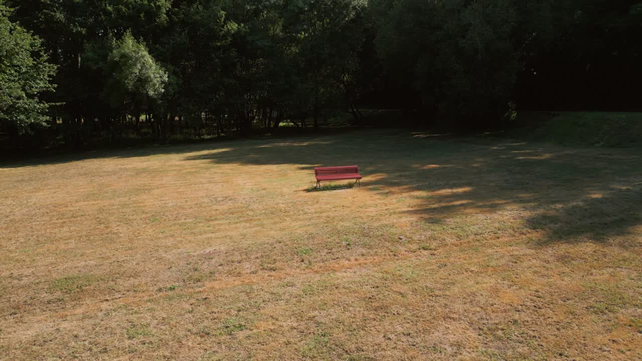 Bench in a Peaceful Park