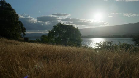 Sunset-over-majestic-mountains,-casting-a-warm-glow-on-swaying-grass-in-the-gentle-evening-breeze