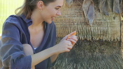 cámara lenta, primer plano: joven mujer alegre dando un trozo de zanahoria a una cabra feliz en una pequeña granja