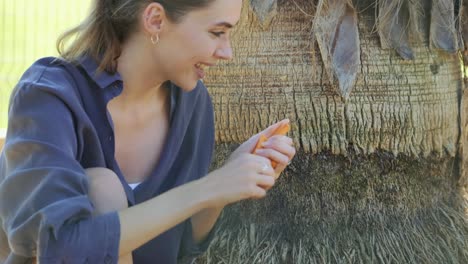 slow motion, close up: young cheerful woman giving piece of an carrot to happy goat on smallholding farm