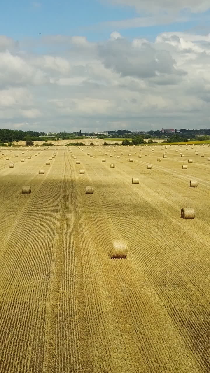 Hay Bales On The Field. Golden hay bales in the countryside