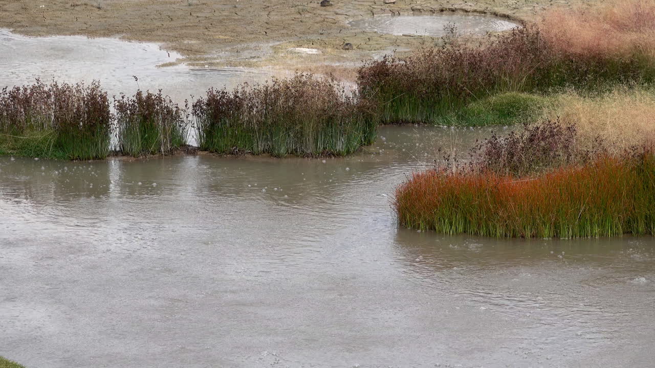 burbujas de agua termal junto a la colorida hierba alta