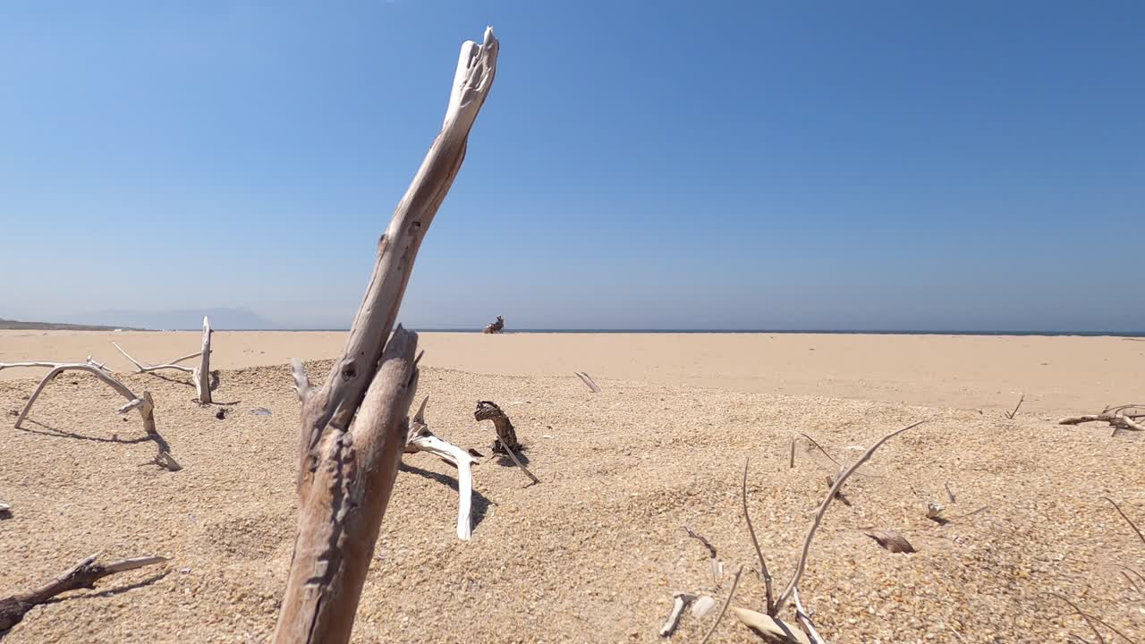 Lage brede opname van achter stukken drijfhout van een vrouw in de verte die op het strand zit tegen de oceaan met een berg in de verte onder een heldere, blauwe lucht, in Kleinmond, Westkaap