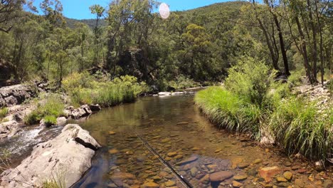 vista de un hombre pescando trucha en un río en las tierras altas de australia