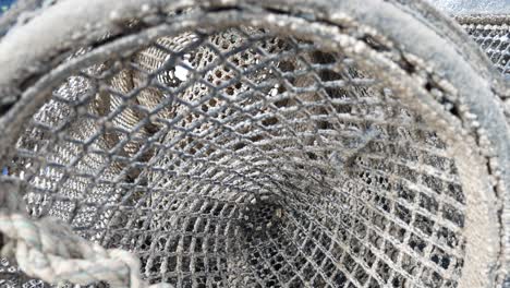 inside lobster pot on coastal marine waterfront push in close up to netting