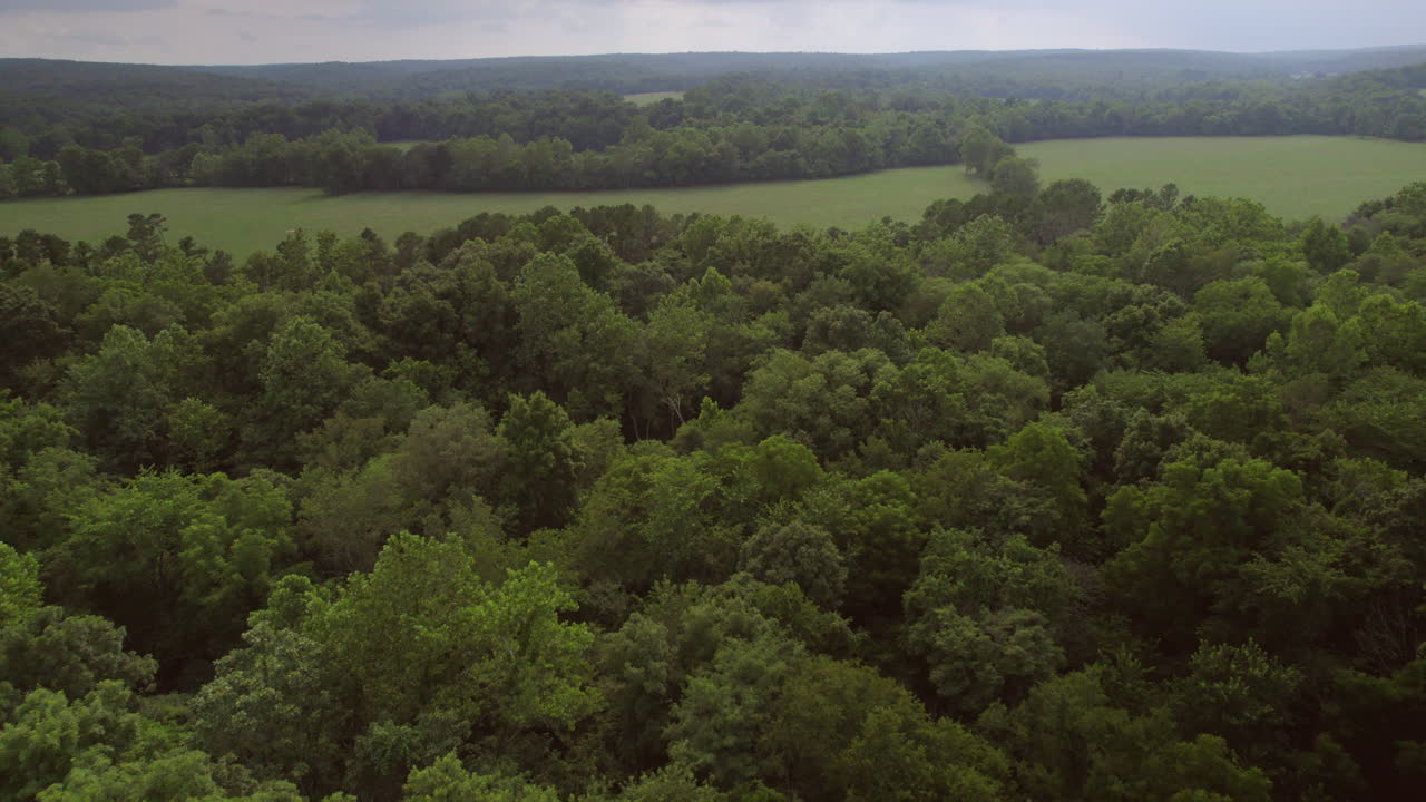 alejarse de las colinas, los campos y los árboles en el sur de missouri