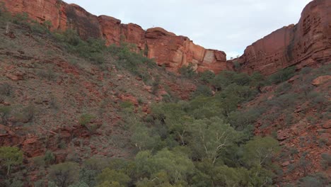 lush trees with steep slopes cliffs at background in kings canyon, northern territory, australia