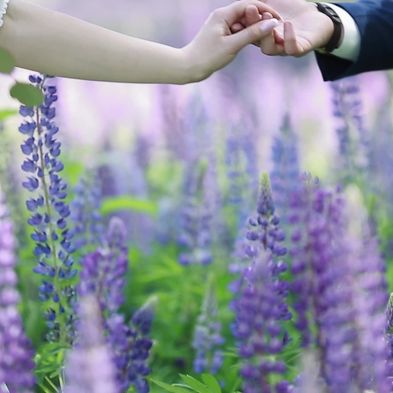 Beautiful Couple In Flower Field