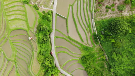 rice terraces drone shot look down