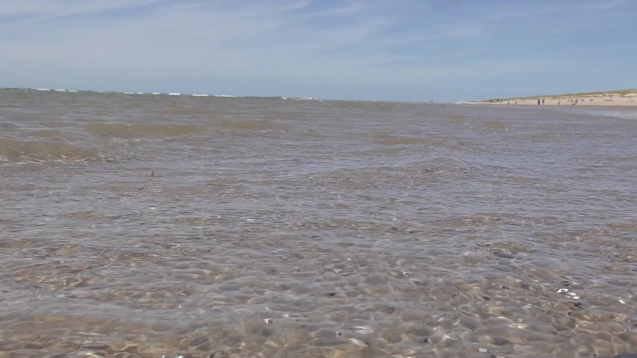 작은 파도가 해변에서 돌고 있습니다.