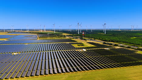 rows of modern solar panels in the agricultural plantations. multiple wind mills work at backdrop. aerial view