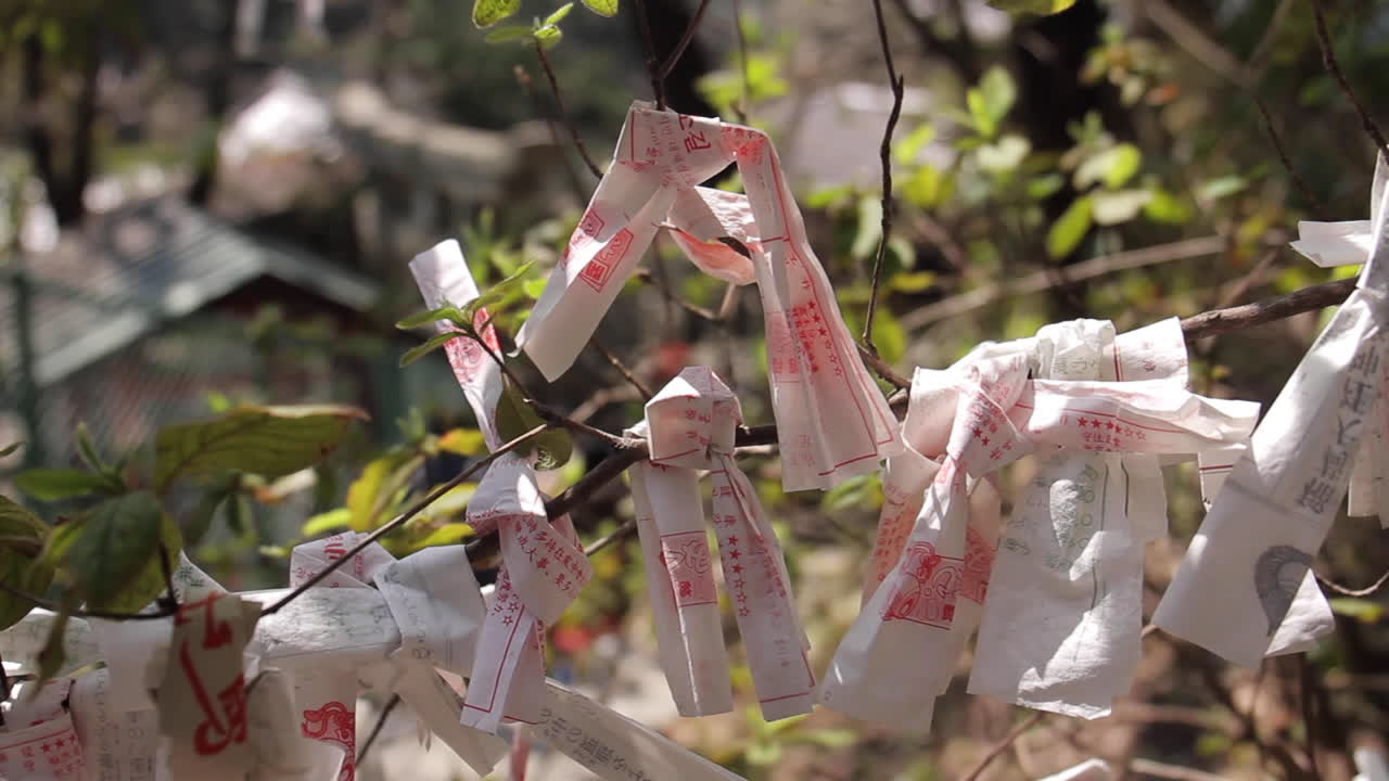 일본 공원의 나무에 묶인 종이