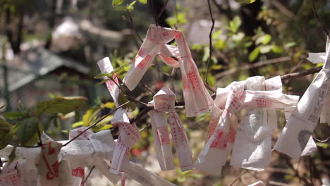 Papel-Atado-A-Los-árboles-En-El-Parque-De-Japón