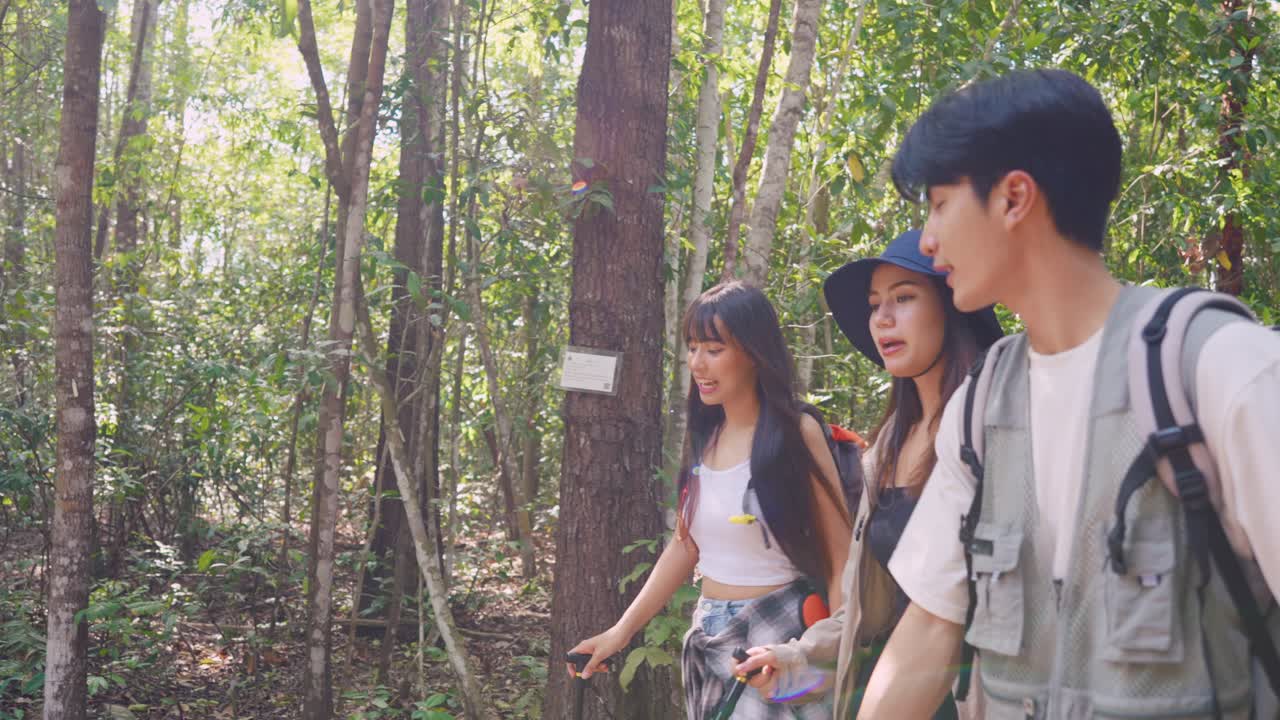 숲에서 산책하는 친구들