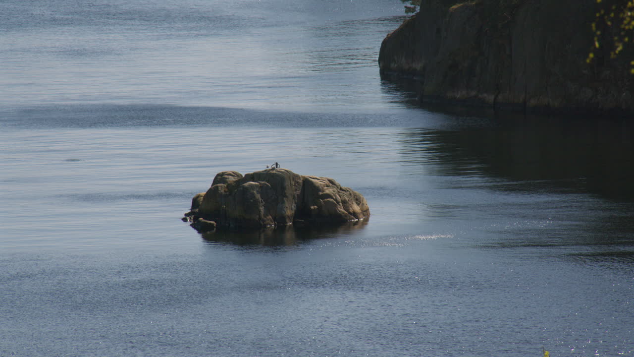 Mid shot of a calm inland sea and rocks at Odderøya in Kristiansand