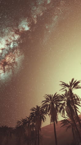 milky way over desert palm trees