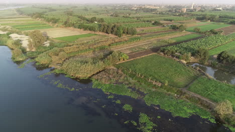 Der-Nil-In-Ägypten,-Umgeben-Von-Der-Grünen-Landschaft-Des-Niltals