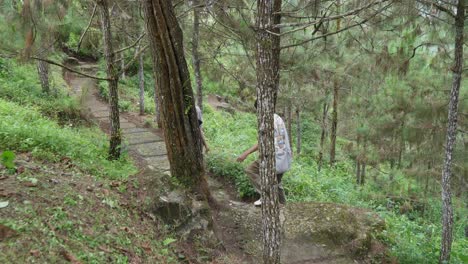 young asian friends walking on forest footpath in nature