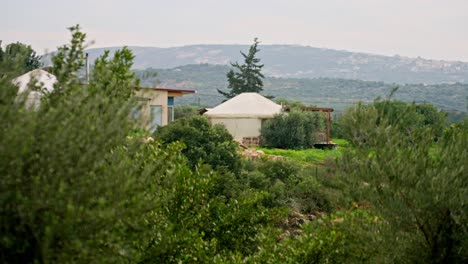 a yurt tent in a countryside surrounded by olive trees