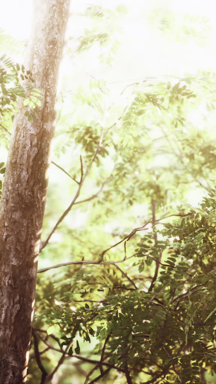 뒷면 에 잎 이 있는 나무 줄기 의 근접 사진