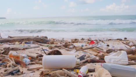 afrontar la realidad de la contaminación plástica en las costas
