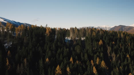 Un-Dron-Se-Eleva-En-El-Parque-Paneveggio-Sobre-El-Valle-Fiemme