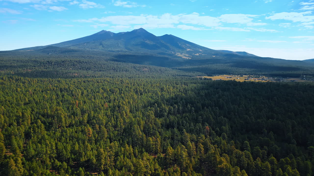 Vast valley covered by the beautiful green forest. Stunning mountains at backdrop. A city is in the wood. Aerial view