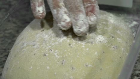 bread dough is gently caressed by the hand of the baker