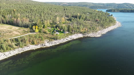 forest with dense fir and birch trees on swedish coast during sunny day in autumn